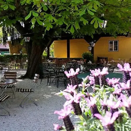Πανσιόν Landgasthof Rechenwirt